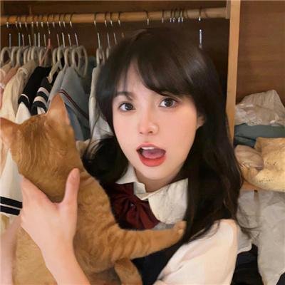 哈莉·奎茵第四季