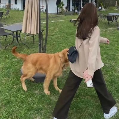 冒牌货